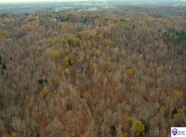 Fuller Harding Road, Campbellsville, Kentucky 42718, ,For Sale,Fuller Harding Road,HK24004394