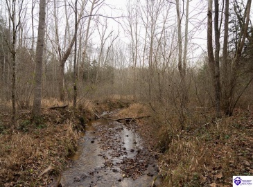 Fuller Harding Road, Campbellsville, Kentucky 42718, ,For Sale,Fuller Harding Road,HK24004397