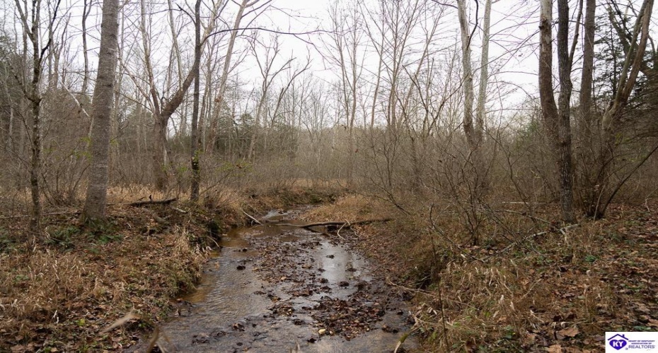 Fuller Harding Road, Campbellsville, Kentucky 42718, ,For Sale,Fuller Harding Road,HK24004397