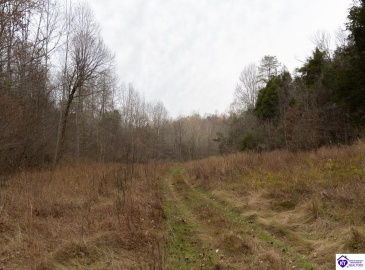 Fuller Harding Road, Campbellsville, Kentucky 42718, ,For Sale,Fuller Harding Road,HK24004397