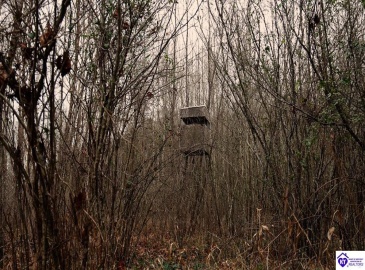 Fuller Harding Road, Campbellsville, Kentucky 42718, ,For Sale,Fuller Harding Road,HK24004397