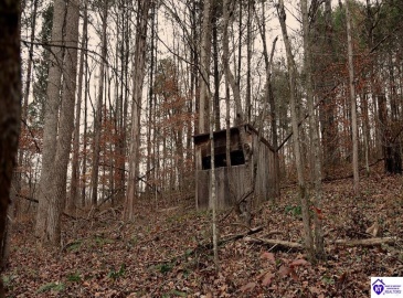 Fuller Harding Road, Campbellsville, Kentucky 42718, ,For Sale,Fuller Harding Road,HK24004397