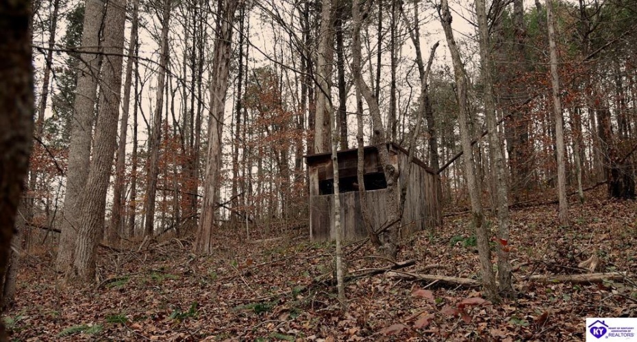 Fuller Harding Road, Campbellsville, Kentucky 42718, ,For Sale,Fuller Harding Road,HK24004397