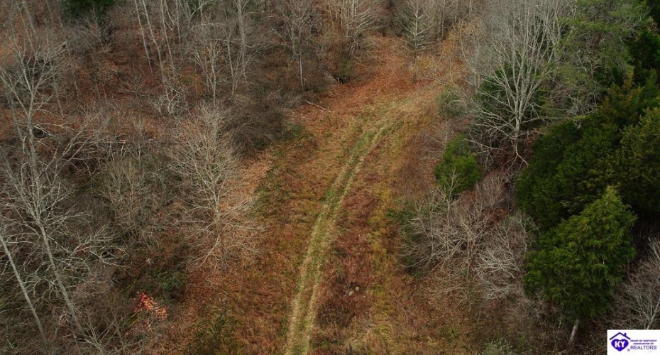 Fuller Harding Road, Campbellsville, Kentucky 42718, ,For Sale,Fuller Harding Road,HK24004397