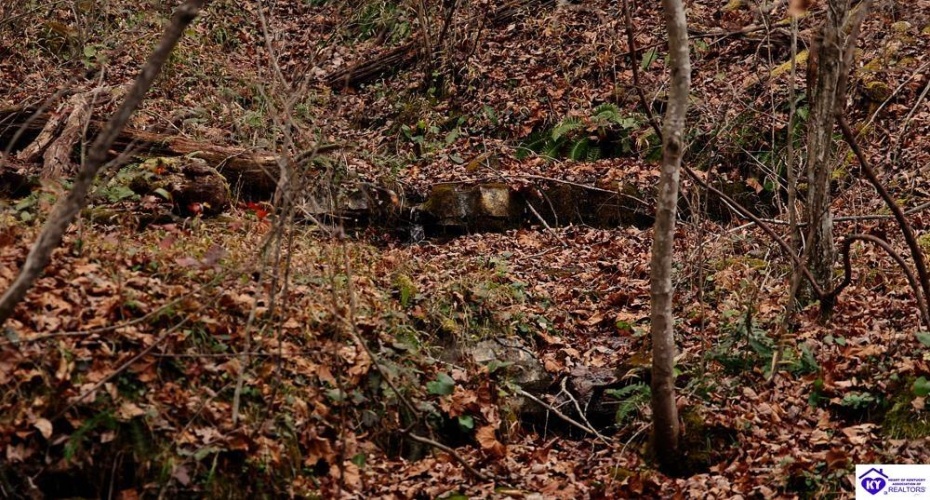 Fuller Harding Road, Campbellsville, Kentucky 42718, ,For Sale,Fuller Harding Road,HK24004397