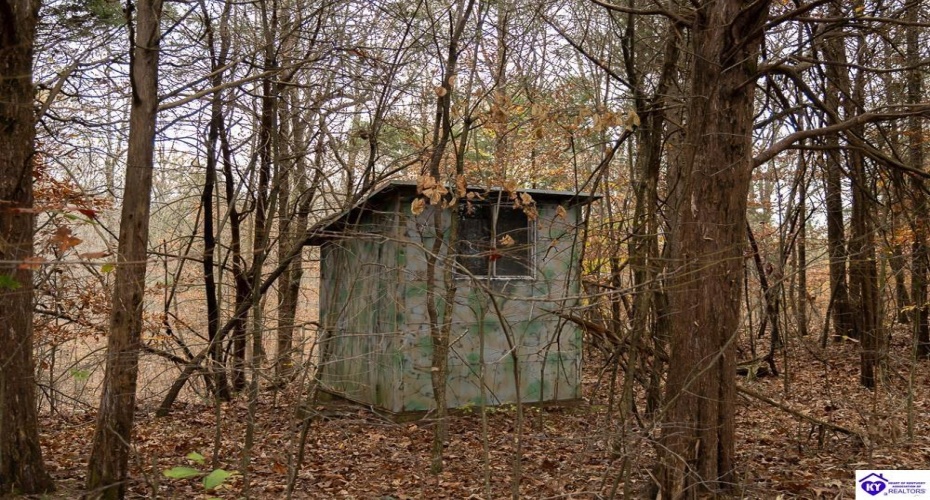 Fuller Harding Road, Campbellsville, Kentucky 42718, ,For Sale,Fuller Harding Road,HK24004397