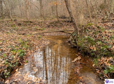 Fuller Harding Road, Campbellsville, Kentucky 42718, ,For Sale,Fuller Harding Road,HK24004398