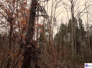 Fuller Harding Road, Campbellsville, Kentucky 42718, ,For Sale,Fuller Harding Road,HK24004398