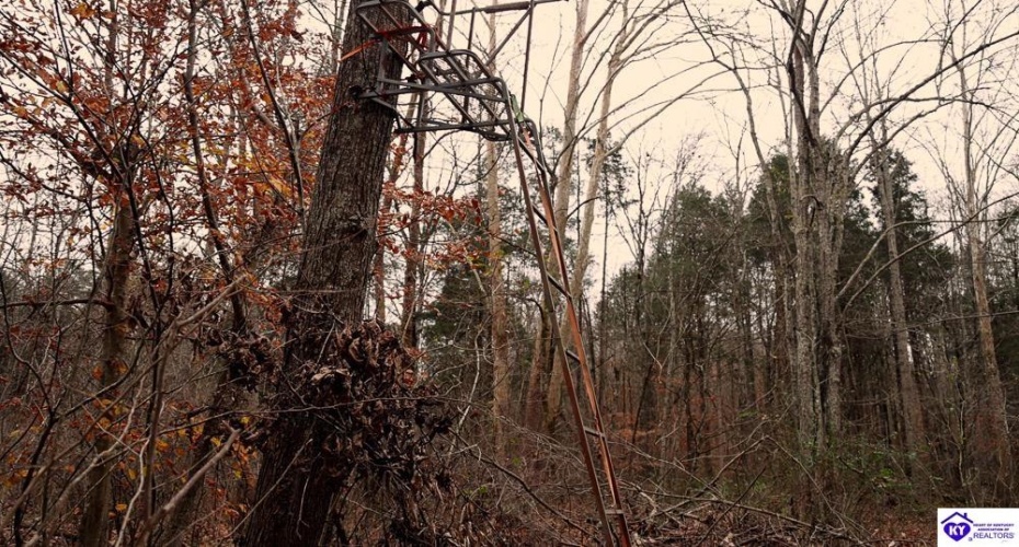 Fuller Harding Road, Campbellsville, Kentucky 42718, ,For Sale,Fuller Harding Road,HK24004398