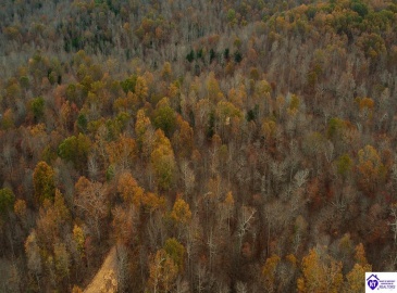 Fuller Harding Road, Campbellsville, Kentucky 42718, ,For Sale,Fuller Harding Road,HK24004398