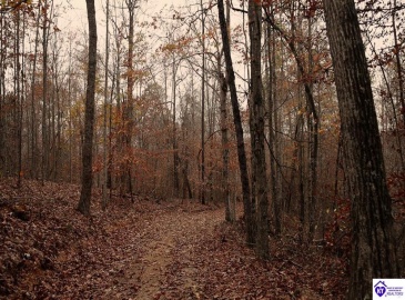 Fuller Harding Road, Campbellsville, Kentucky 42718, ,For Sale,Fuller Harding Road,HK24004398