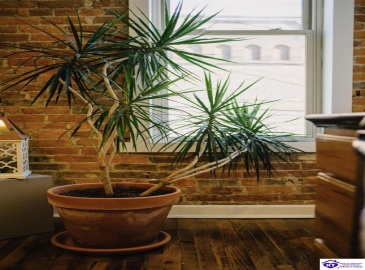 Main Street, Campbellsville, Kentucky 42718, ,For Sale,Main Street,HK24001006