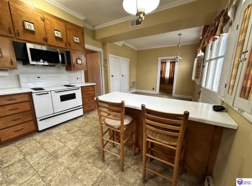 Main Street, Campbellsville, Kentucky 42718, ,3 BathroomsBathrooms,For Sale,Main Street,HK24004433