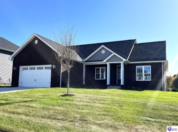 Mt Moriah Boulevard, Rineyville, Kentucky 40162, ,2 BathroomsBathrooms,For Sale,Mt Moriah Boulevard,HK24004434