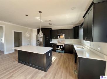 Mt Moriah Boulevard, Rineyville, Kentucky 40162, ,2 BathroomsBathrooms,For Sale,Mt Moriah Boulevard,HK24004434