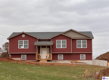 Reuben lane, Guston, Kentucky 40142, ,2 BathroomsBathrooms,For Sale,Reuben lane,HK24004444