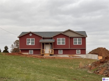 Reuben lane, Guston, Kentucky 40142, ,2 BathroomsBathrooms,For Sale,Reuben lane,HK24004444
