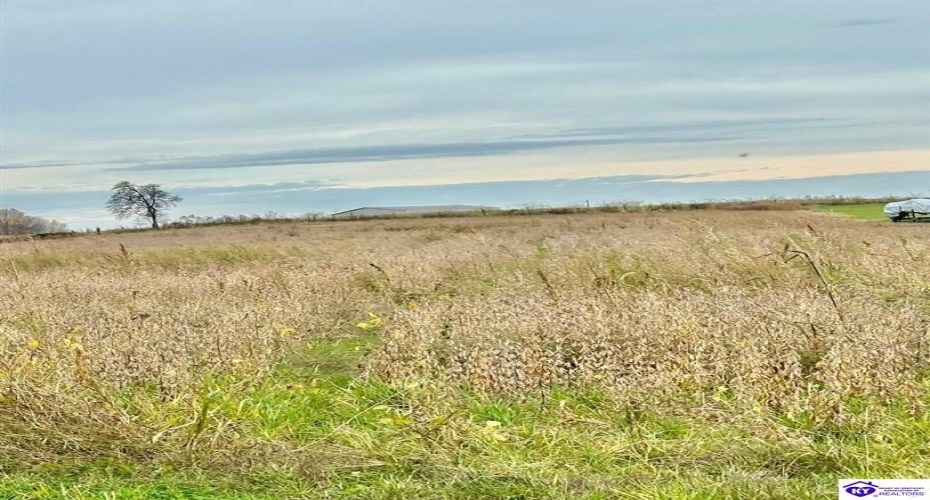 Ferrill Lane, Campbellsville, Kentucky 42718-000, ,For Sale,Ferrill Lane,HK24004450