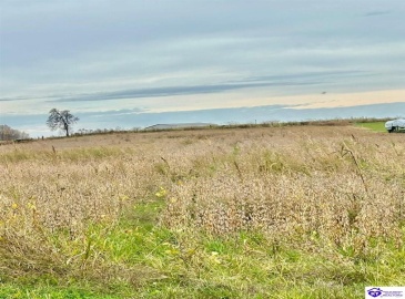 Ferrill Lane, Campbellsville, Kentucky 42718-000, ,For Sale,Ferrill Lane,HK24004454