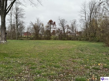 Rhodelia Road, Payneville, Kentucky 40157, ,For Sale,Rhodelia Road,HK24004471