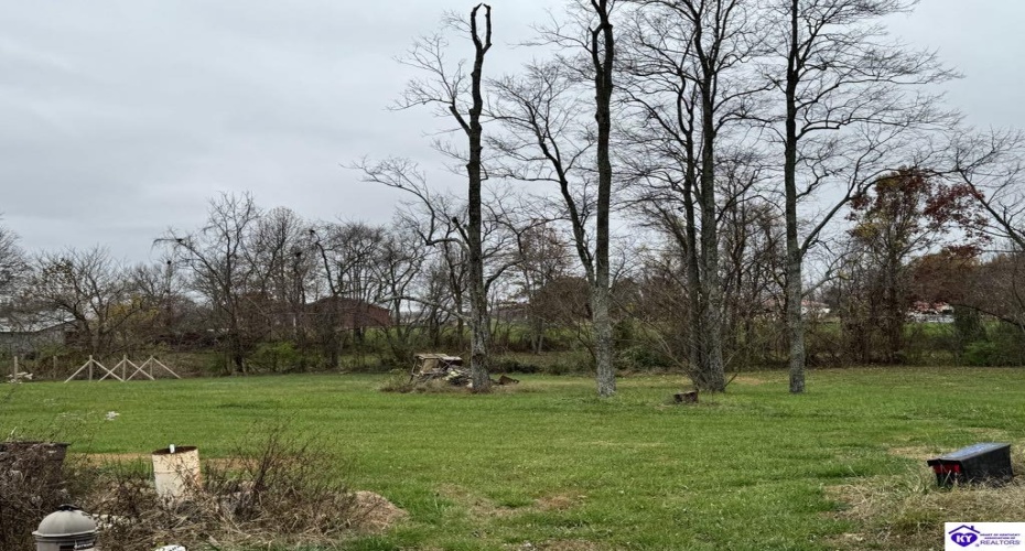 Rhodelia Road, Payneville, Kentucky 40157, ,For Sale,Rhodelia Road,HK24004471