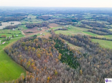 Highway 566, Magnolia, Kentucky 42757, ,For Sale,Highway 566,HK24004473