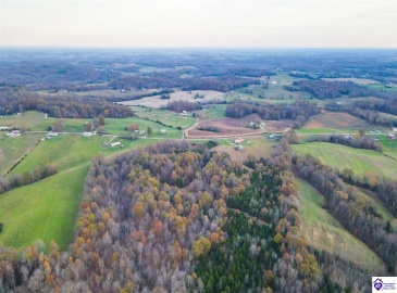 Highway 566, Magnolia, Kentucky 42757, ,For Sale,Highway 566,HK24004473