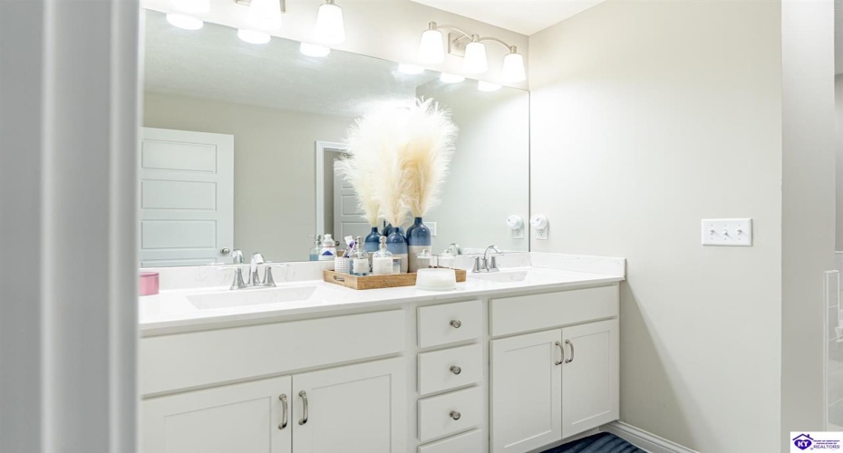 Mt Carmel Boulevard, Rineyville, Kentucky 40162, ,3 BathroomsBathrooms,For Sale,Mt Carmel Boulevard,HK24004474