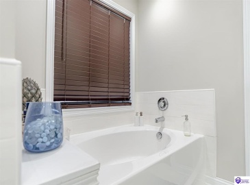 Mt Carmel Boulevard, Rineyville, Kentucky 40162, ,3 BathroomsBathrooms,For Sale,Mt Carmel Boulevard,HK24004474