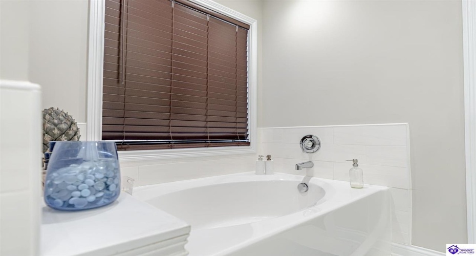 Mt Carmel Boulevard, Rineyville, Kentucky 40162, ,3 BathroomsBathrooms,For Sale,Mt Carmel Boulevard,HK24004474