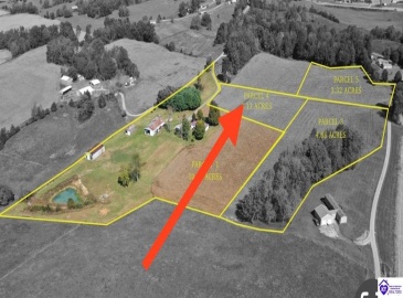 Gilpin Rd, Campbellsville, Kentucky 42718, ,For Sale,Gilpin Rd,HK24004477