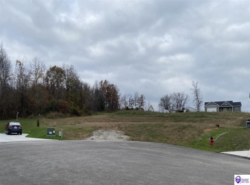 Fountain View Drive, Leitchfield, Kentucky 42754, ,For Sale,Fountain View Drive,HK24004486
