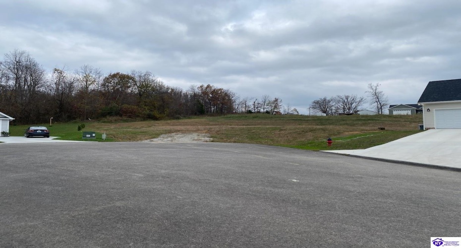 Fountain View Drive, Leitchfield, Kentucky 42754, ,For Sale,Fountain View Drive,HK24004486