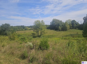 L and N Turnpike Road, Hodgenville, Kentucky 42748, ,For Sale,L and N Turnpike Road,HK24004487