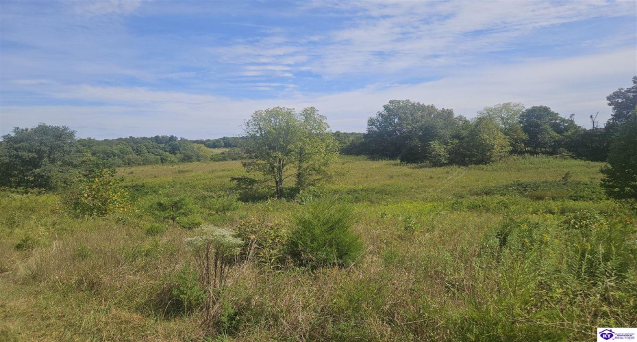 L and N Turnpike Road, Hodgenville, Kentucky 42748, ,For Sale,L and N Turnpike Road,HK24004487