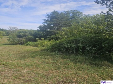 L and N Turnpike Road, Hodgenville, Kentucky 42748, ,For Sale,L and N Turnpike Road,HK24004487