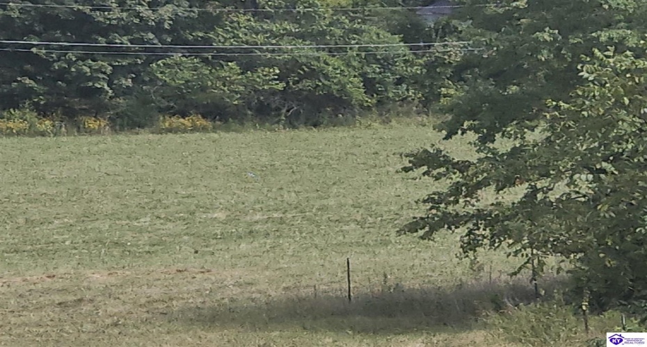 L and N Turnpike Road, Hodgenville, Kentucky 42748, ,For Sale,L and N Turnpike Road,HK24004487