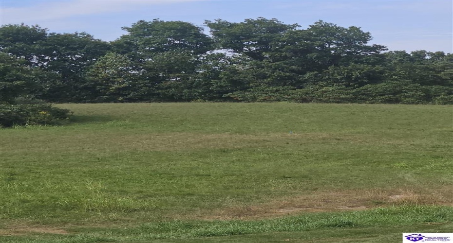 L and N Turnpike Road, Hodgenville, Kentucky 42748, ,For Sale,L and N Turnpike Road,HK24004487