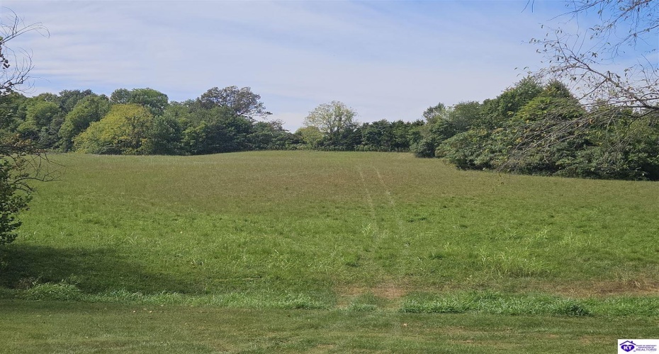 L and N Turnpike Road, Hodgenville, Kentucky 42748, ,For Sale,L and N Turnpike Road,HK24004487