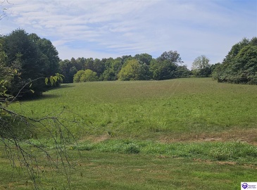 L and N Turnpike Road, Hodgenville, Kentucky 42748, ,For Sale,L and N Turnpike Road,HK24004487