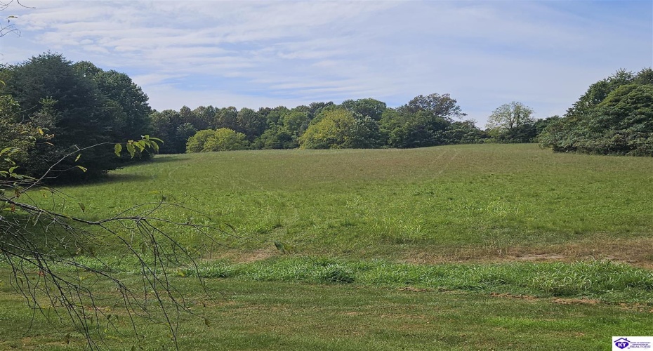 L and N Turnpike Road, Hodgenville, Kentucky 42748, ,For Sale,L and N Turnpike Road,HK24004487