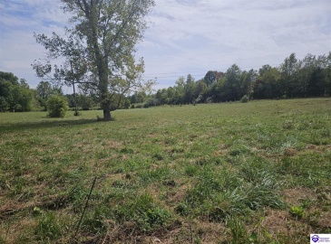 L and N Turnpike Road, Hodgenville, Kentucky 42748, ,For Sale,L and N Turnpike Road,HK24004487