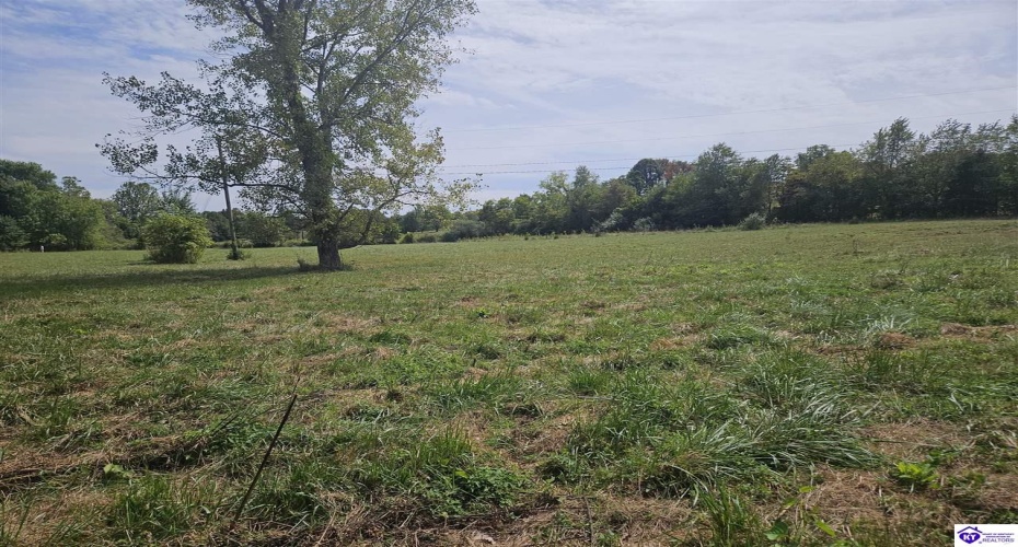 L and N Turnpike Road, Hodgenville, Kentucky 42748, ,For Sale,L and N Turnpike Road,HK24004487