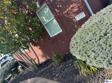 Blossom Lane, Campbellsville, Kentucky 42718, ,3 BathroomsBathrooms,For Sale,Blossom Lane,HK24004489