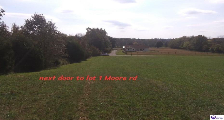 Moore Road, Summer Shade, Kentucky 42166, ,For Sale,Moore Road,HK24004496