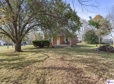 Jackson Highway, Hardyville, Kentucky 42746, ,1 BathroomBathrooms,For Sale,Jackson Highway,HK24004504