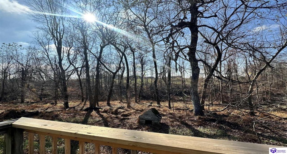 Pitman Valley Road, Campbellsville, Kentucky 42718, ,2 BathroomsBathrooms,For Sale,Pitman Valley Road,HK24004505