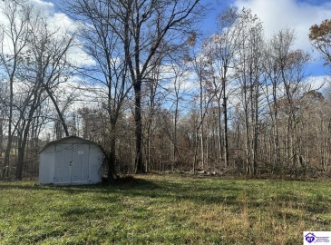 Pitman Valley Road, Campbellsville, Kentucky 42718, ,2 BathroomsBathrooms,For Sale,Pitman Valley Road,HK24004505