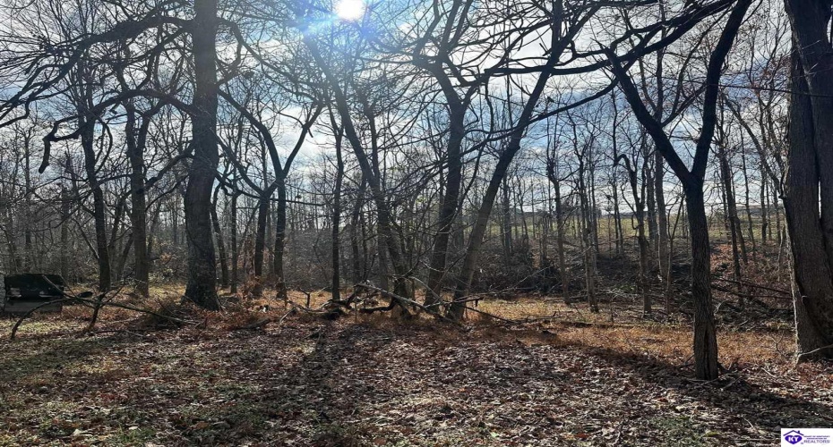 Pitman Valley Road, Campbellsville, Kentucky 42718, ,2 BathroomsBathrooms,For Sale,Pitman Valley Road,HK24004505