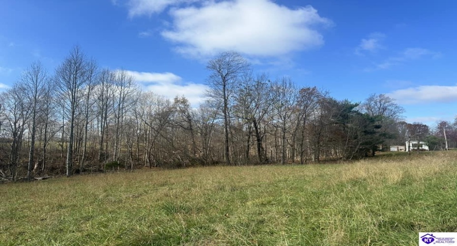 Pitman Valley Road, Campbellsville, Kentucky 42718, ,2 BathroomsBathrooms,For Sale,Pitman Valley Road,HK24004505